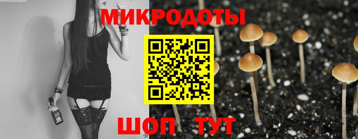 Нижнеудинск  Галлюциногенные грибы прущие грибы  Вход с VPN 